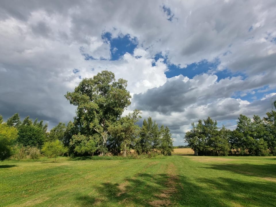 Spring, Day, Natural landscape
