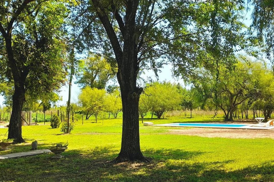 Spring, Day, Natural landscape, Garden, Garden view, Pool view, Swimming pool