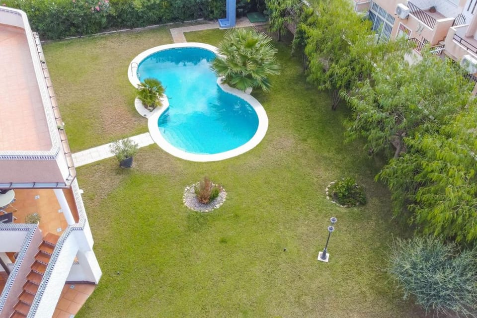 Day, Garden, Garden view, Pool view, Swimming pool, sunbed