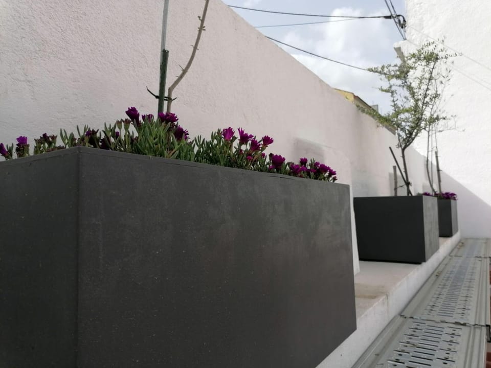 Casa do Lado - The next door House in Setubal District