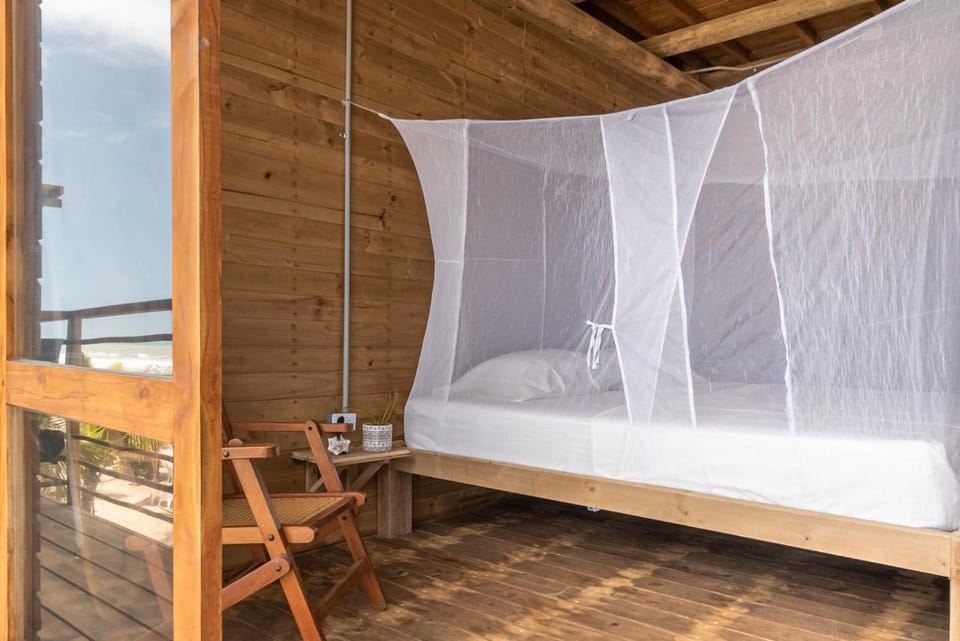 Bed, Natural landscape, Photo of the whole room