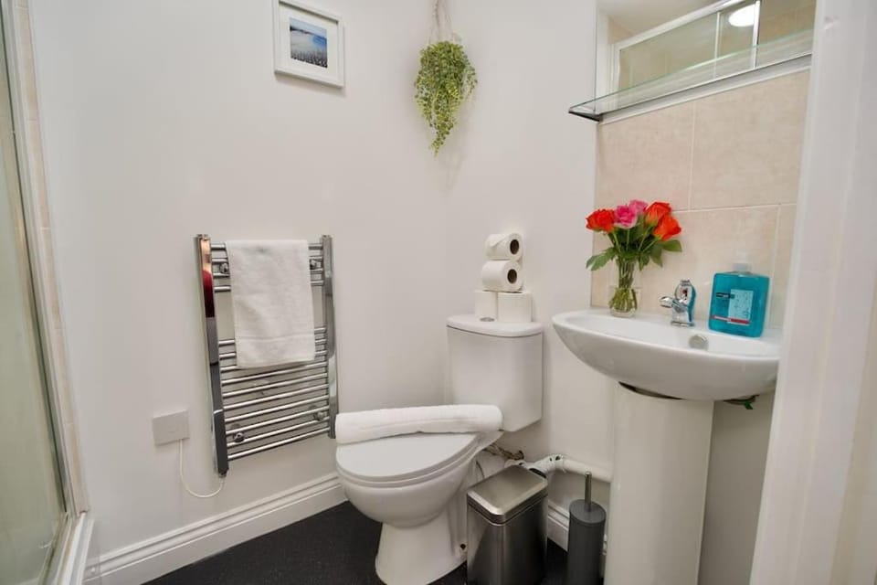 Shower, Toilet, Bathroom, towels