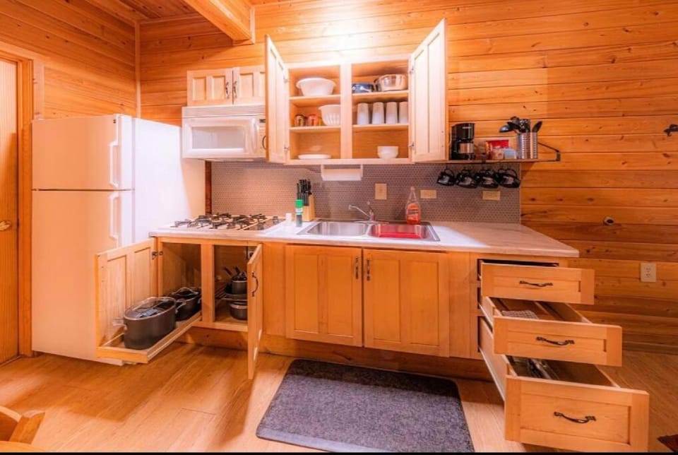 Kitchen or kitchenette, minibar, stove