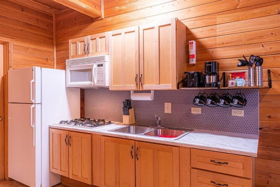 Coffee/tea facilities, Kitchen or kitchenette, minibar, stove, toaster