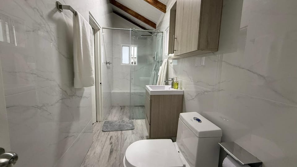 Shower, Bathroom, towels