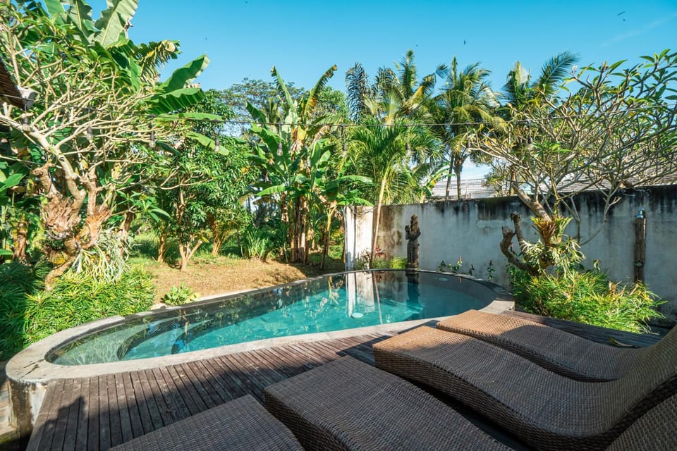 Pool view, Swimming pool, sunbed