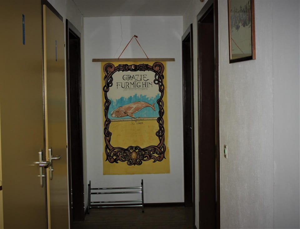 Osteria con alloggio Ul Furmighin Bed and Breakfast in Canton of Ticino