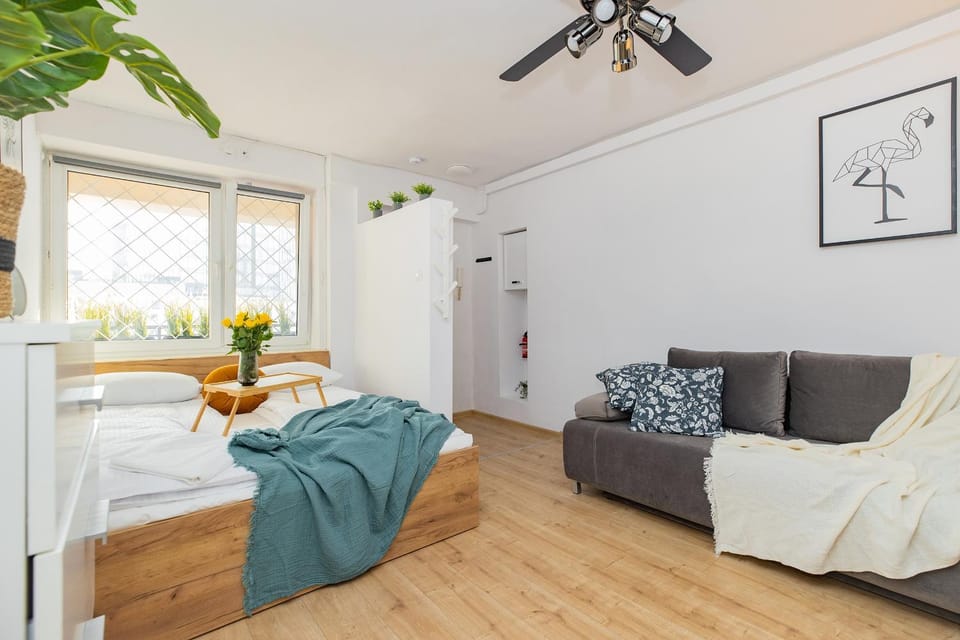 Bed, Seating area, Bedroom
