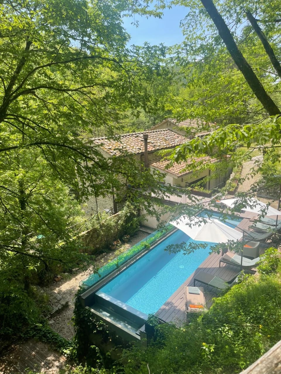Property building, Garden, Garden view, Pool view, Swimming pool