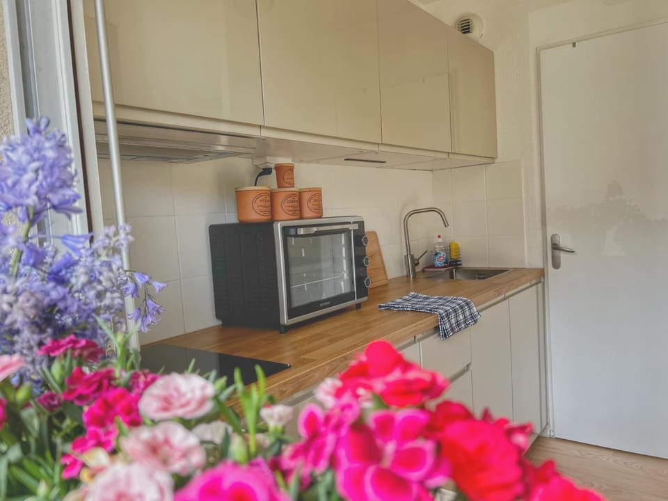 Kitchen or kitchenette, pet friendly