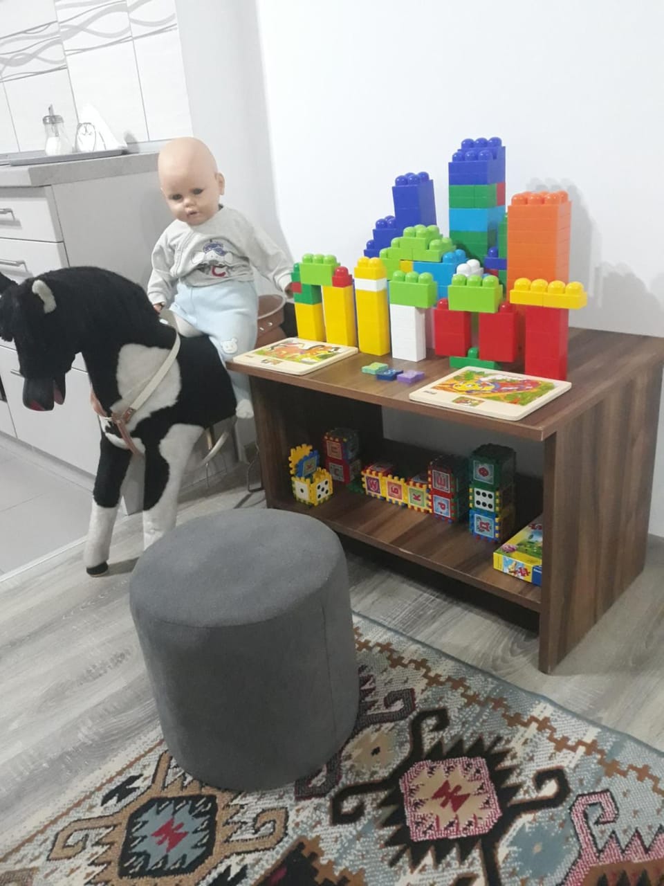 Apartman Drina Apartment in Serbia