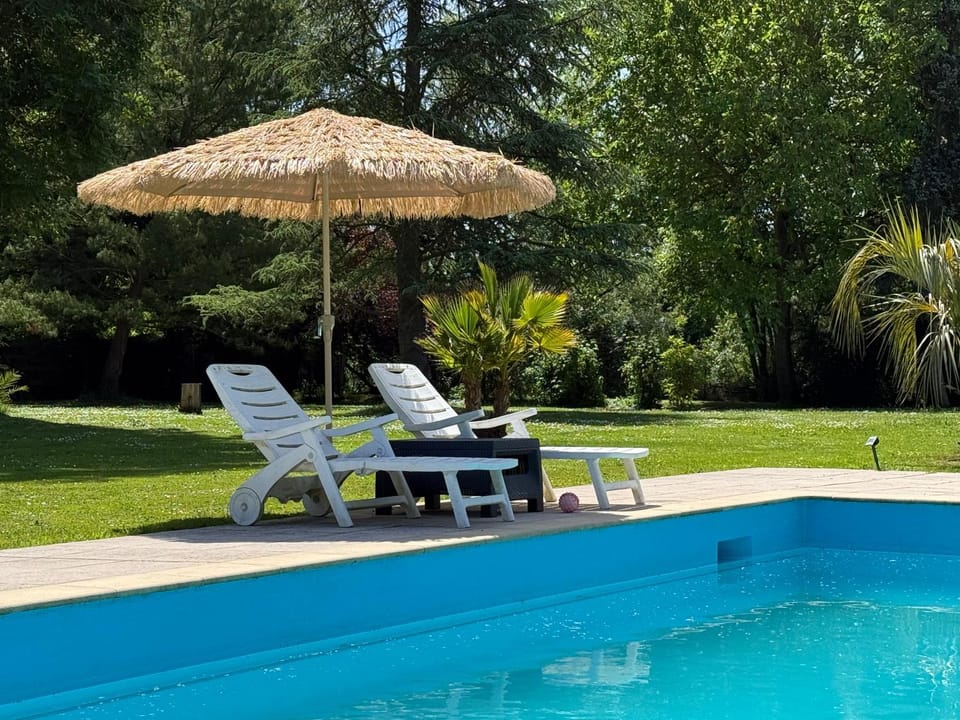 Garden, Garden view, Pool view, Swimming pool, sunbed