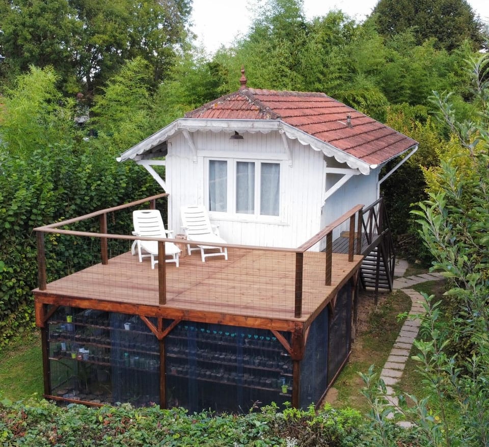 Property building, Garden, Balcony/Terrace