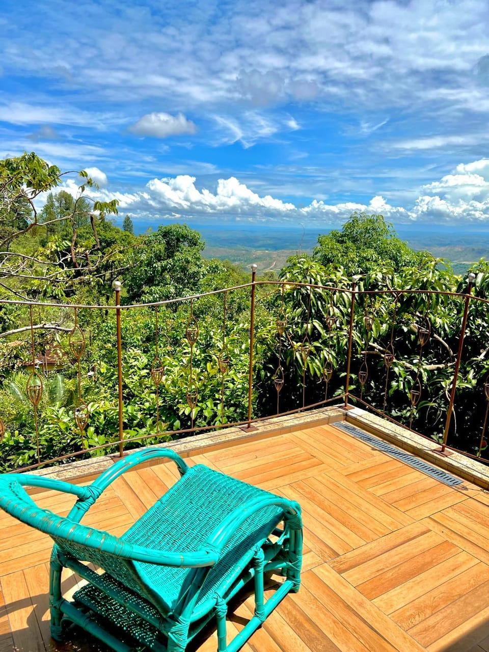Balcony/Terrace