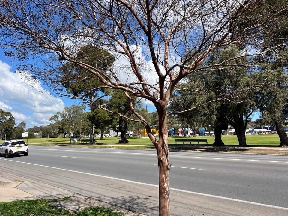 Modern City Townhouse with all the Comforts Apartment in North Wagga Wagga
