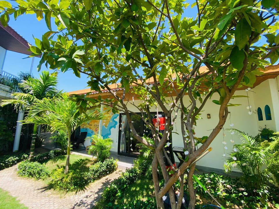 Day, Garden, Garden view