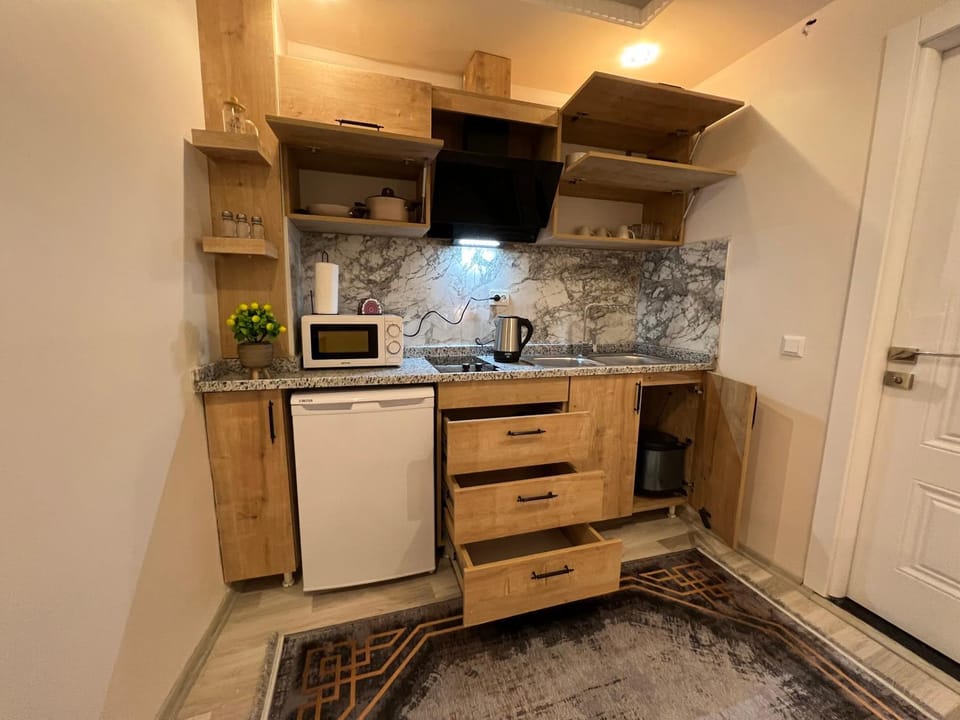 Kitchen or kitchenette, minibar, oven