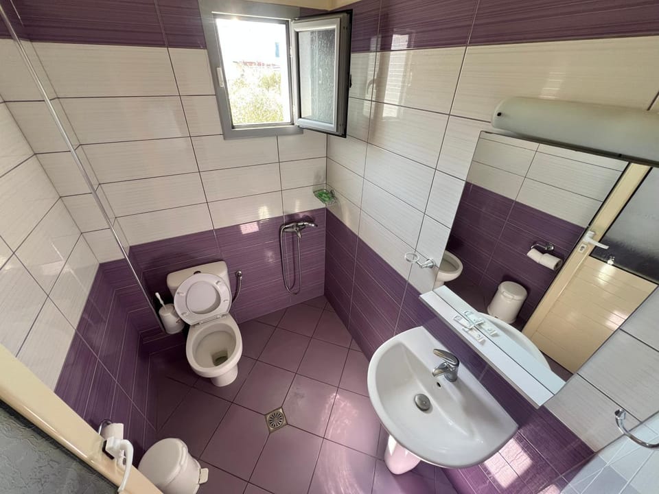 Shower, Toilet, Bathroom, bidet