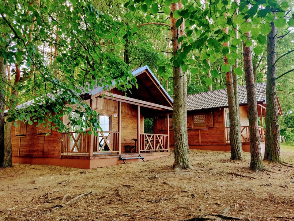Property building, Natural landscape, Garden view