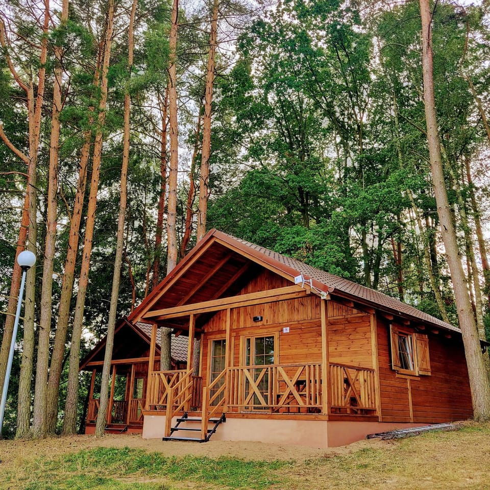 Property building, Garden, Garden view