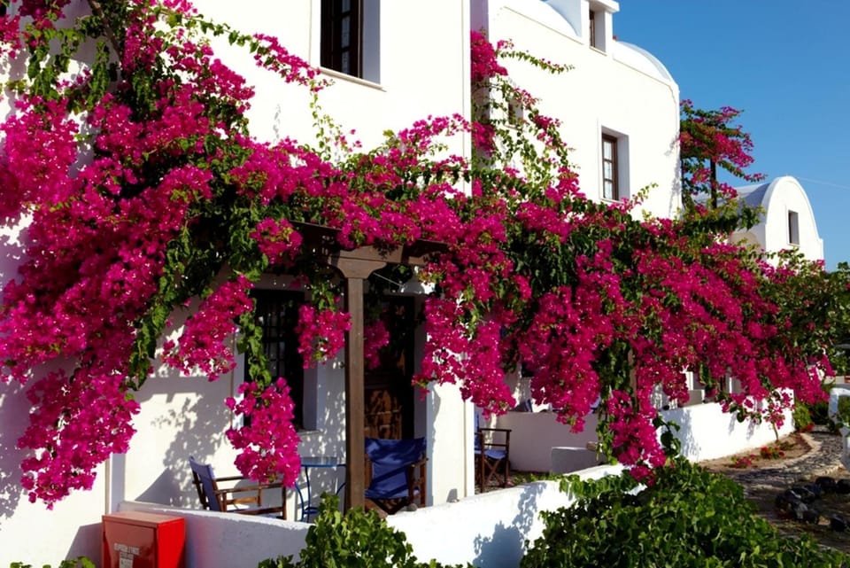 Property building, Garden, Garden view