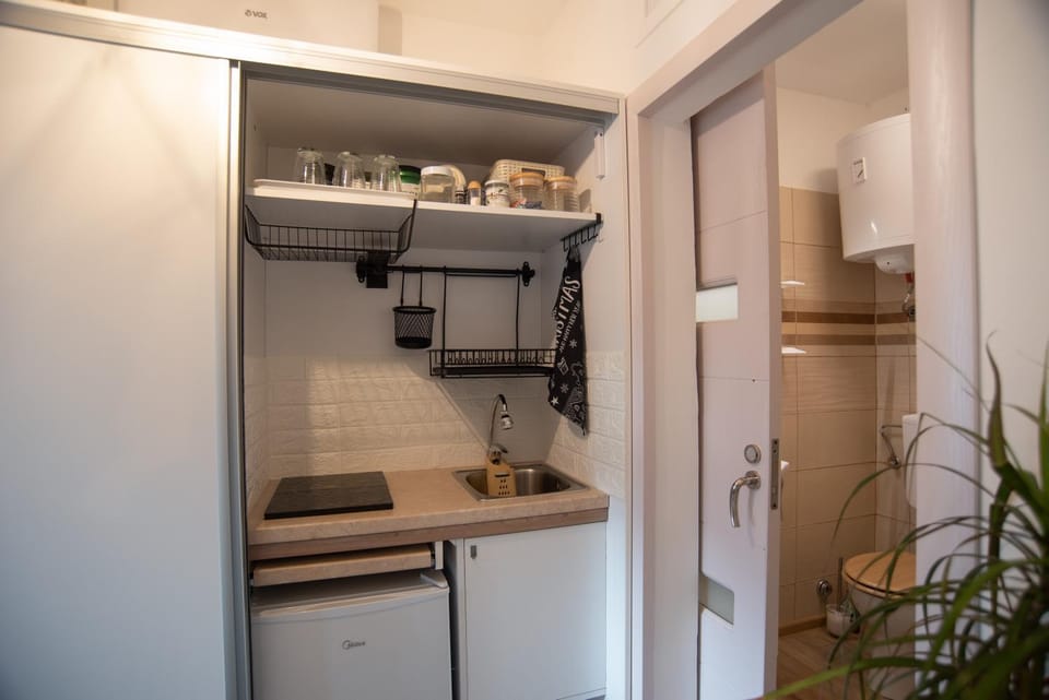 Kitchen or kitchenette, minibar, stove