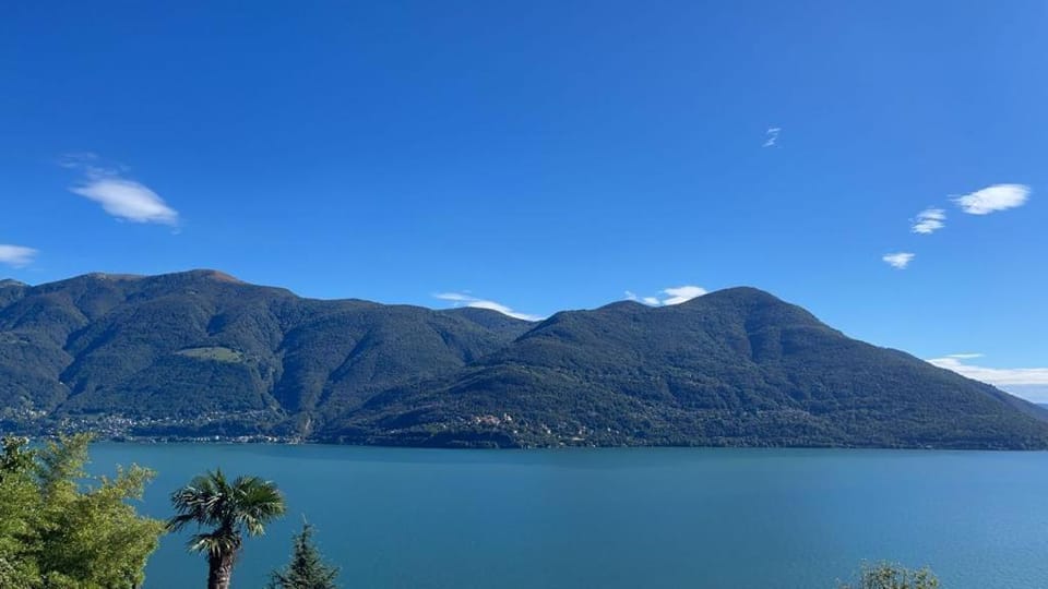 Lake view