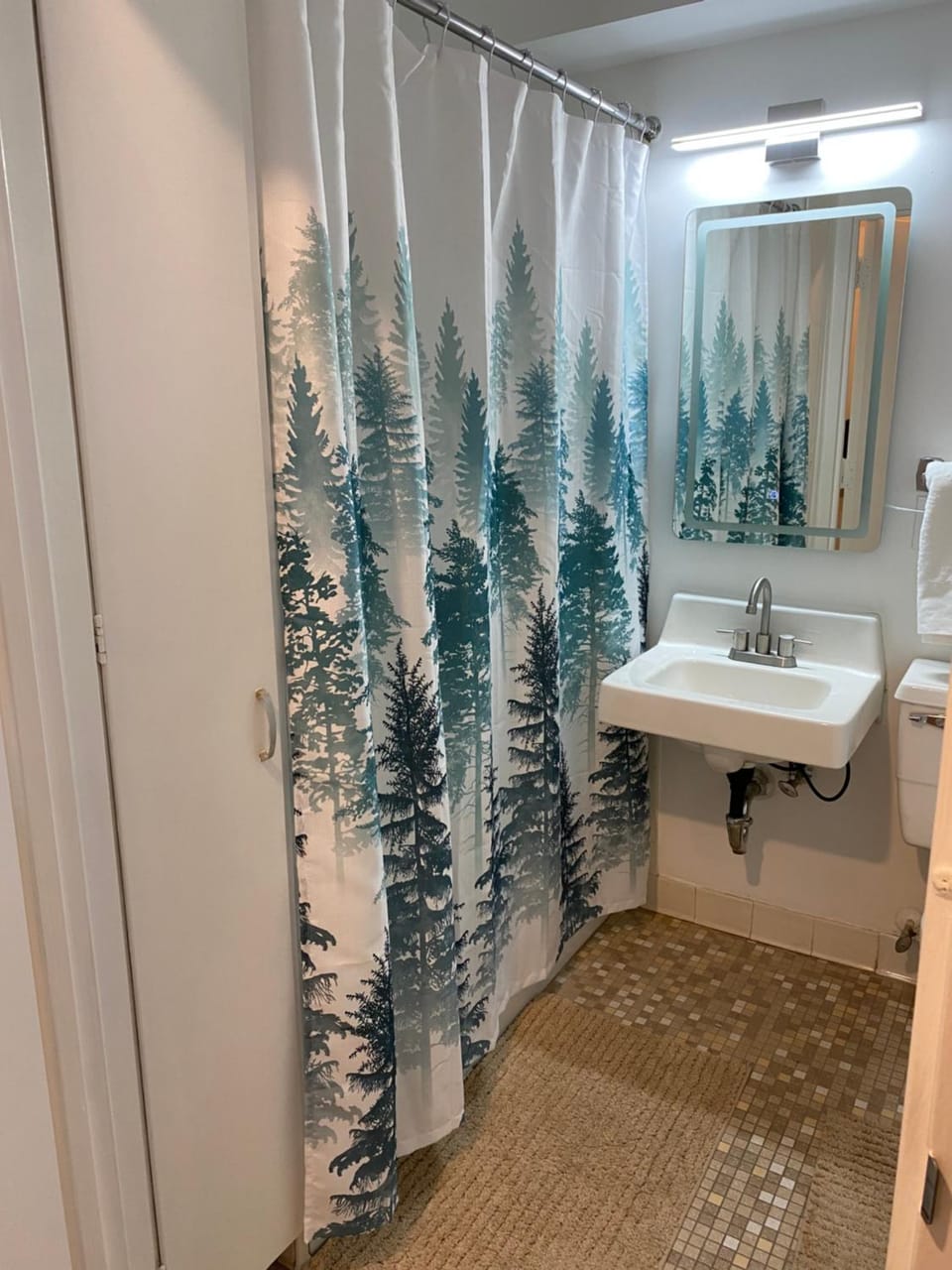 Shower, Bathroom