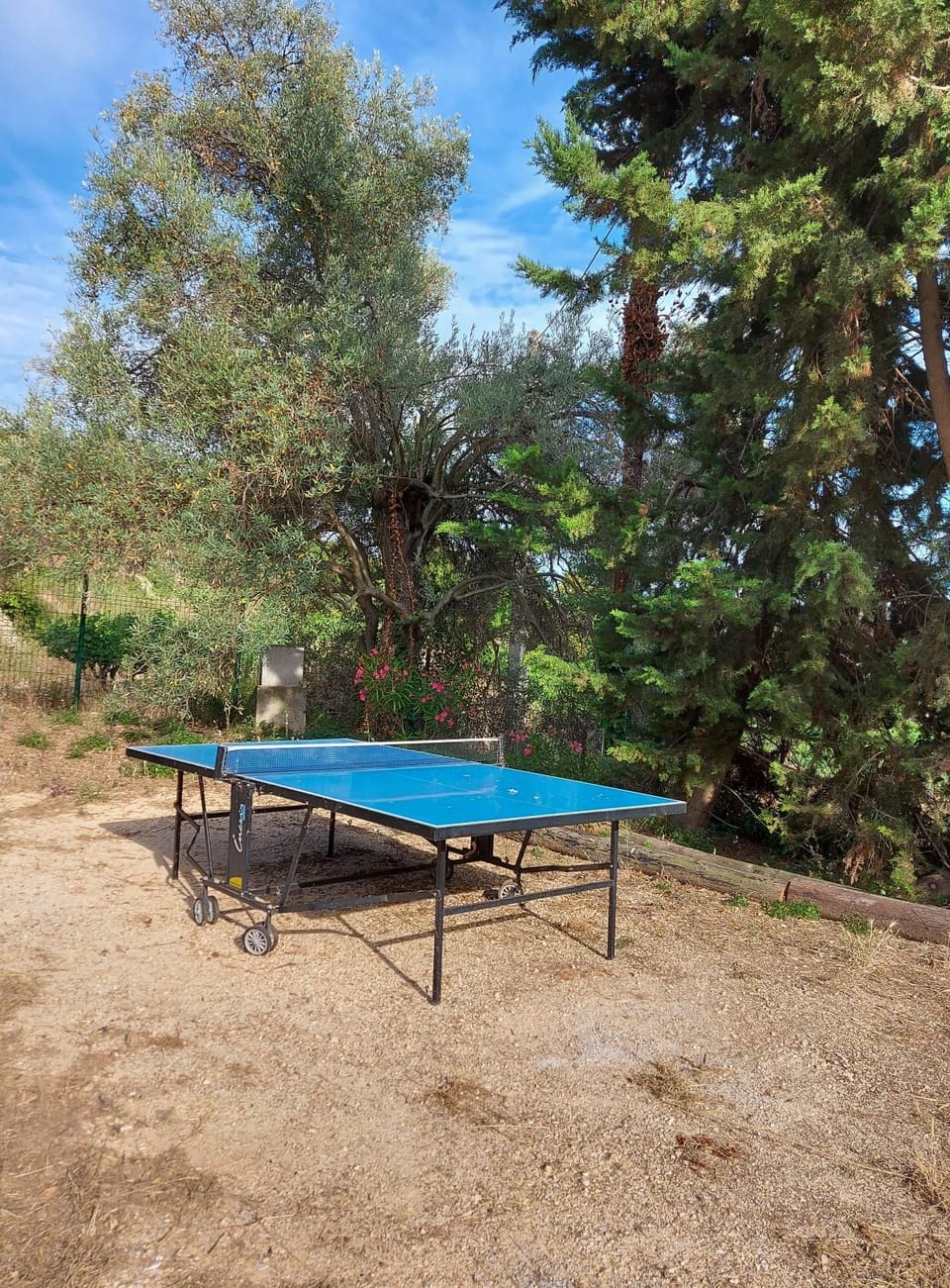 Garden, Table tennis, Garden view