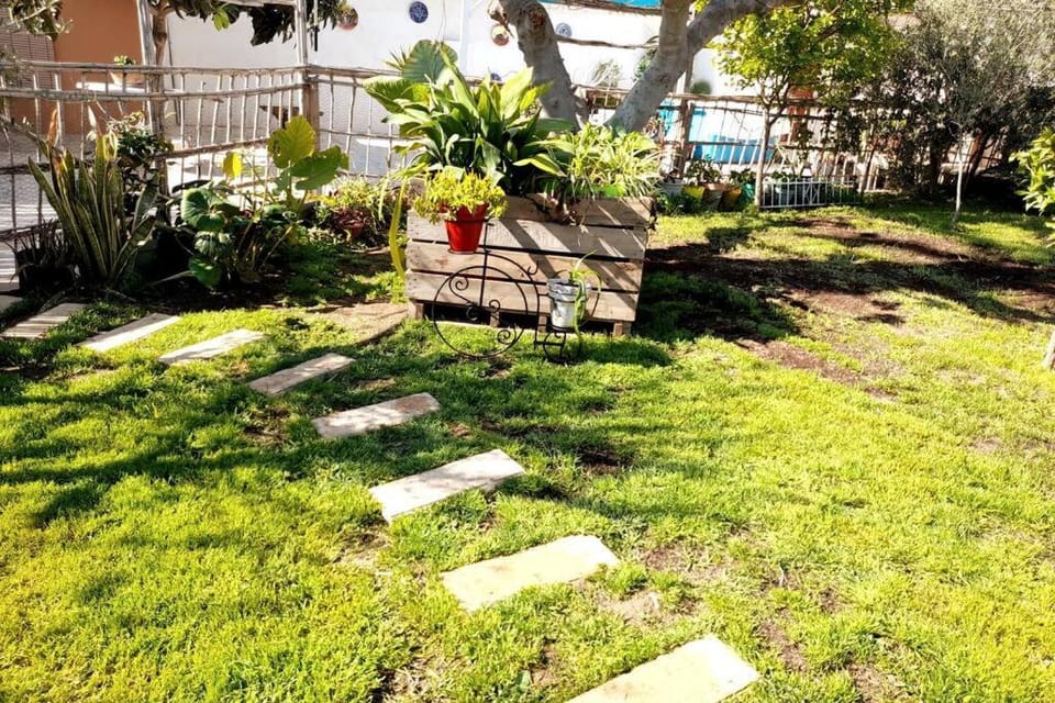 Garden view