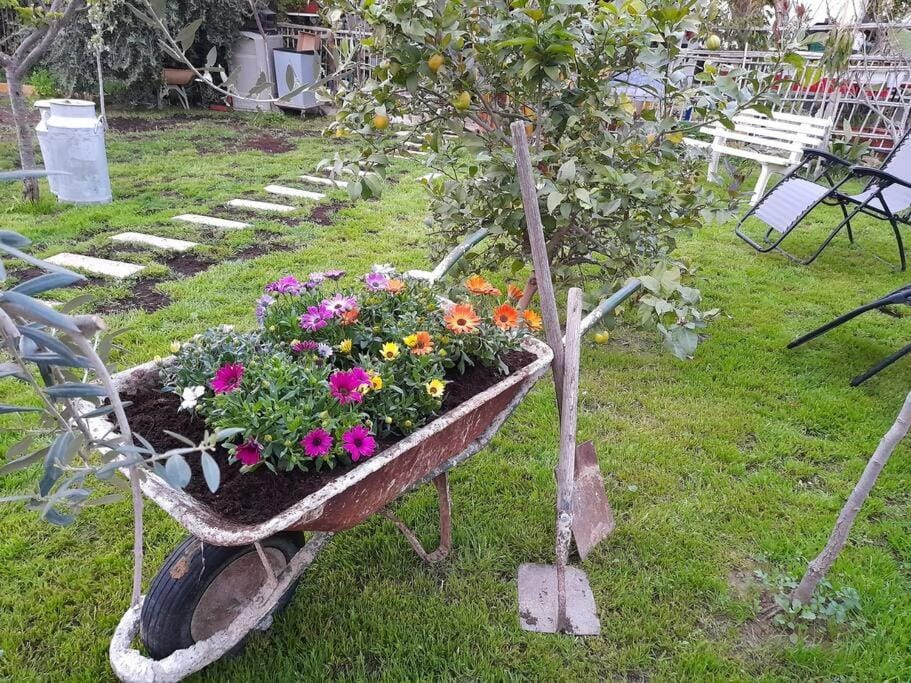 Garden view