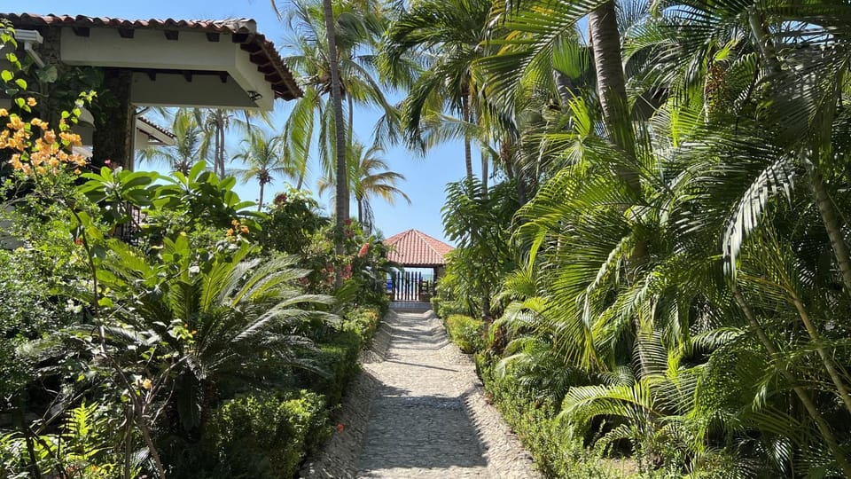 Garden view