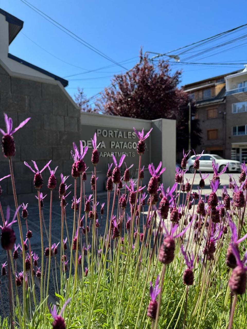 Portales de la Patagonia Apartments Apartment in San Carlos Bariloche