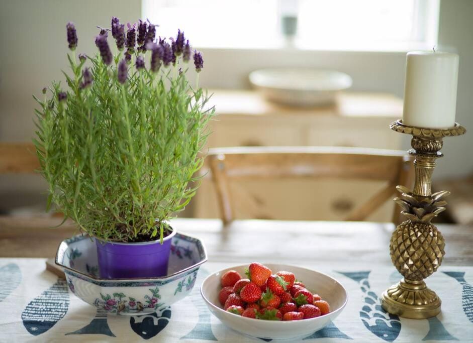 The Folly Bushmills House in Northern Ireland