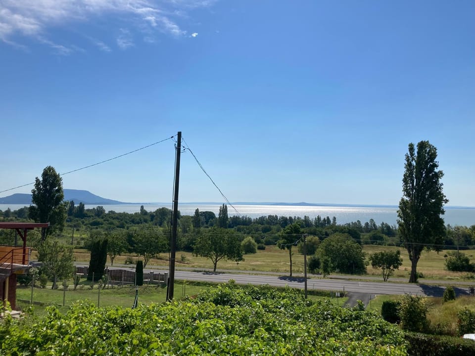 Lake view