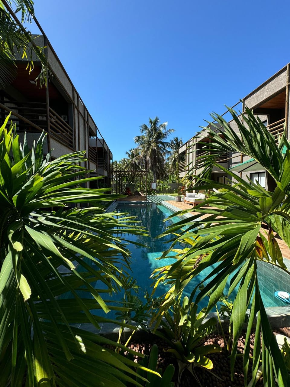 Day, Garden view, Pool view, Swimming pool