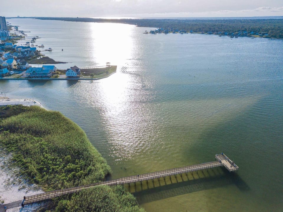 Neighbourhood, Natural landscape, Bird's eye view, Lake view