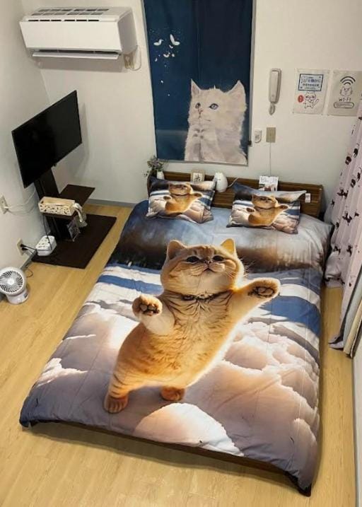 Tokyo Shibuya Shinjyuku Cat House ! Apartment in Shibuya