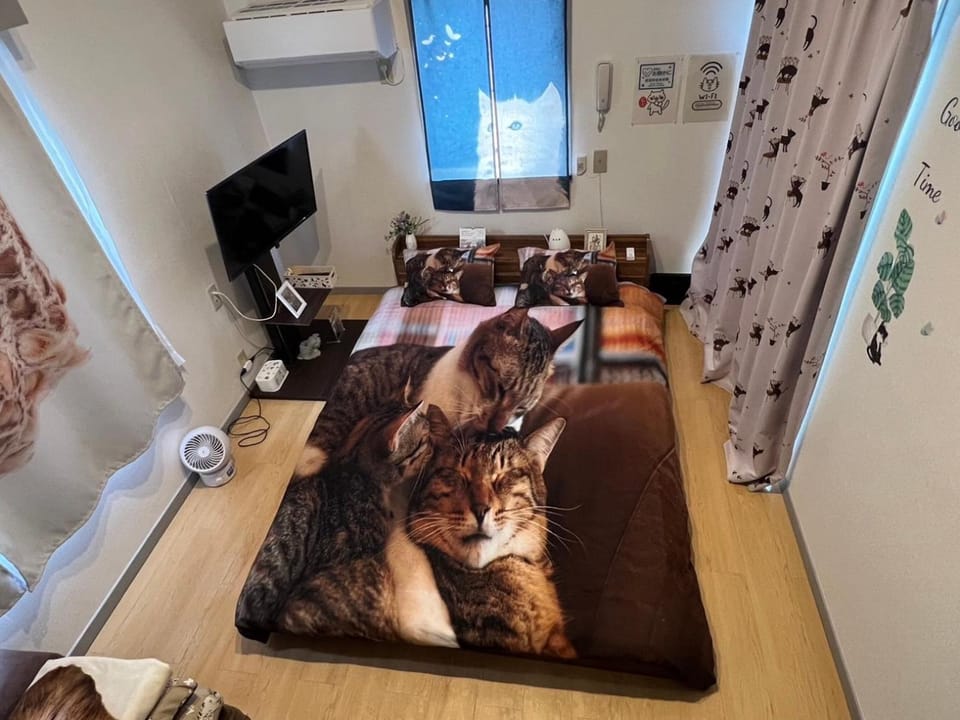 Tokyo Shibuya Shinjyuku Cat House ! Apartment in Shibuya