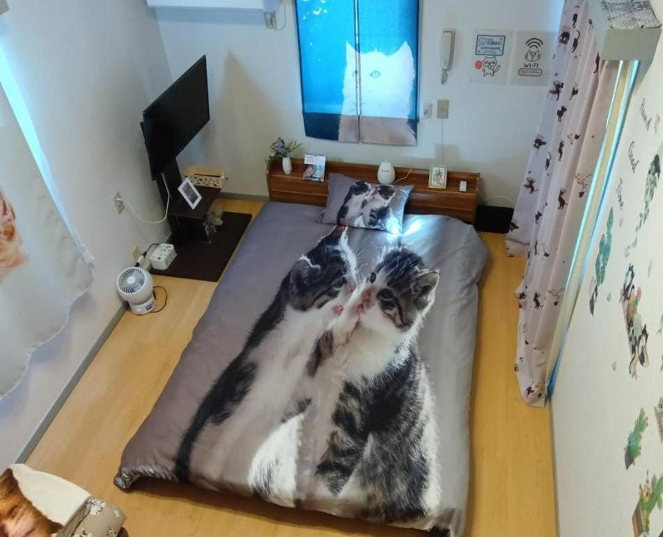 Tokyo Shibuya Shinjyuku Cat House ! Apartment in Shibuya