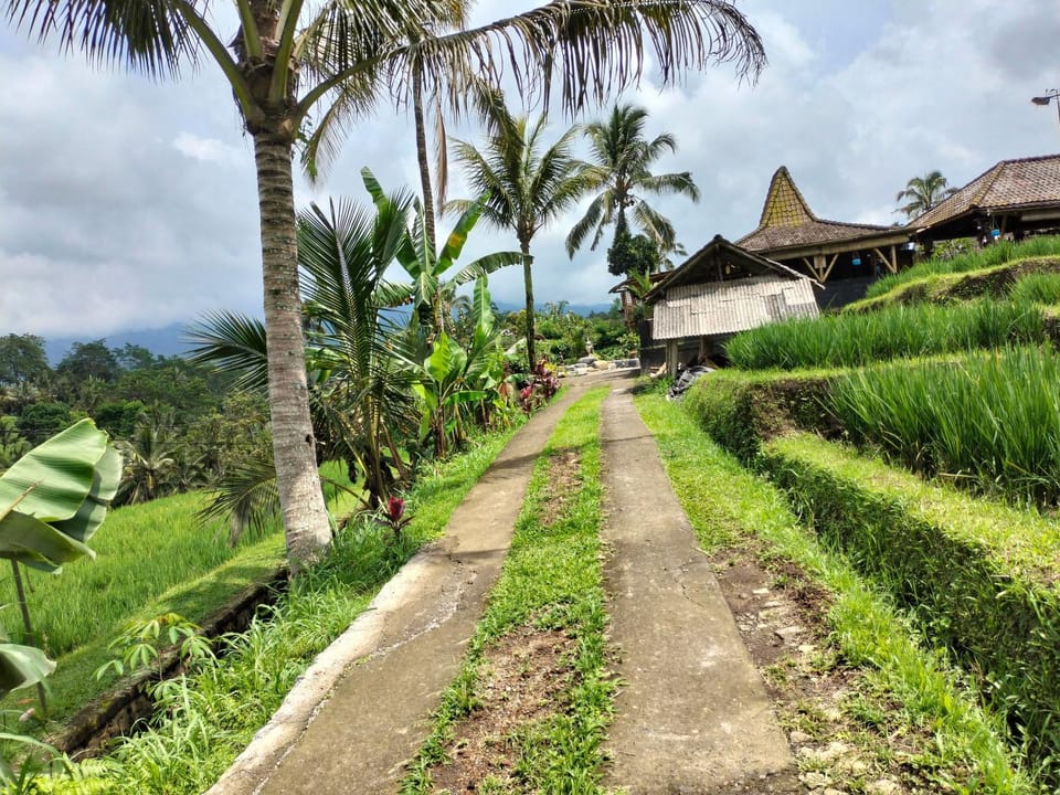 Nearby landmark, Day, Natural landscape, Garden, Garden view, Landmark view, Street view, Street view, Quiet street view