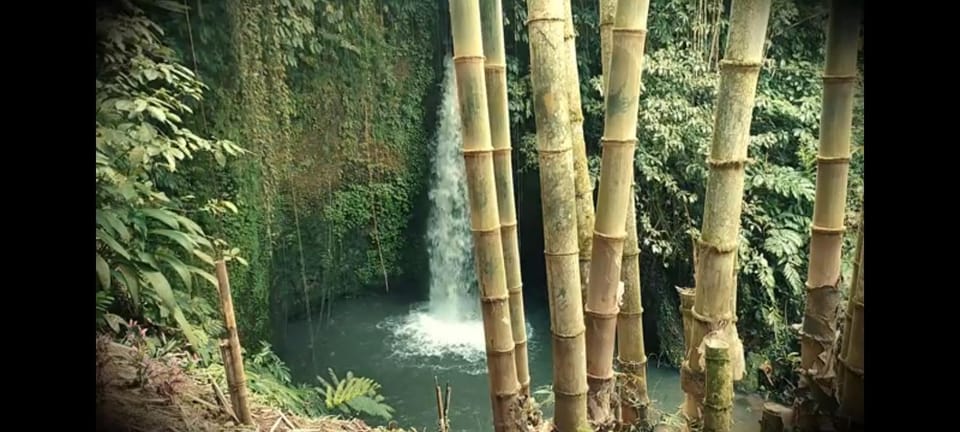 Nearby landmark, Natural landscape, Activities, Aqua park, Lake view, River view