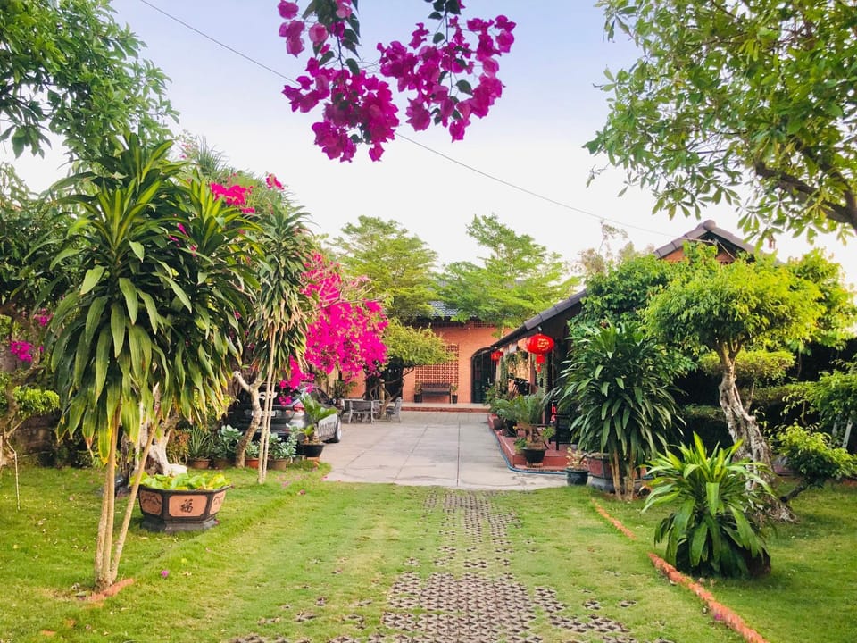 Day, Natural landscape, Garden, Garden view
