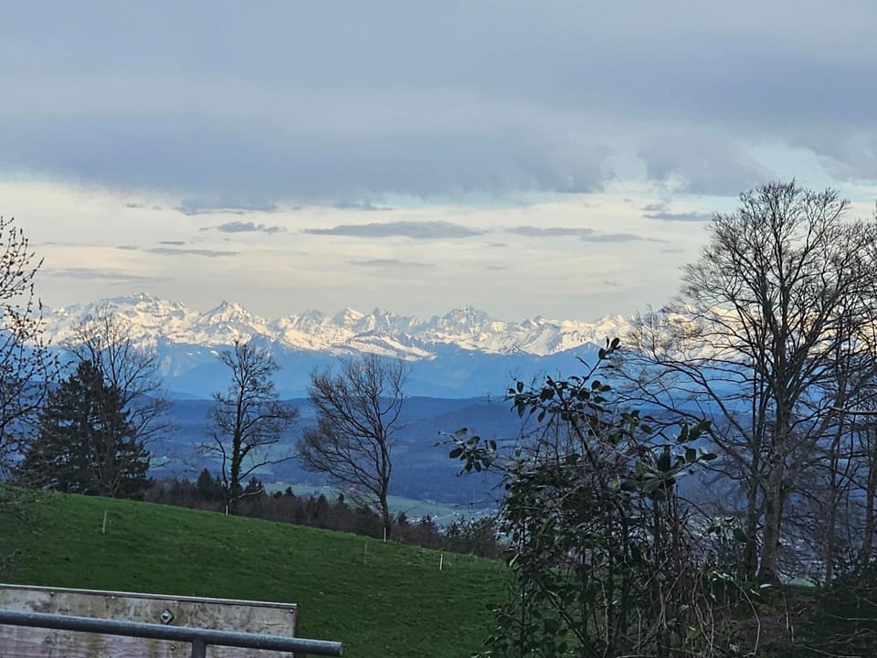 View (from property/room)