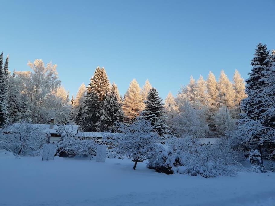 Natural landscape