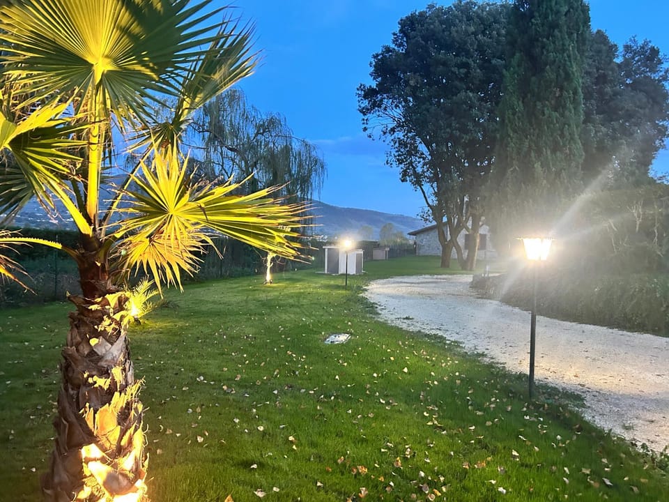 Facade/entrance, Night, Garden, Garden view