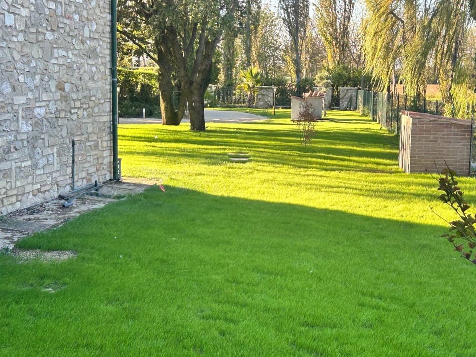 Property building, Garden, Garden view