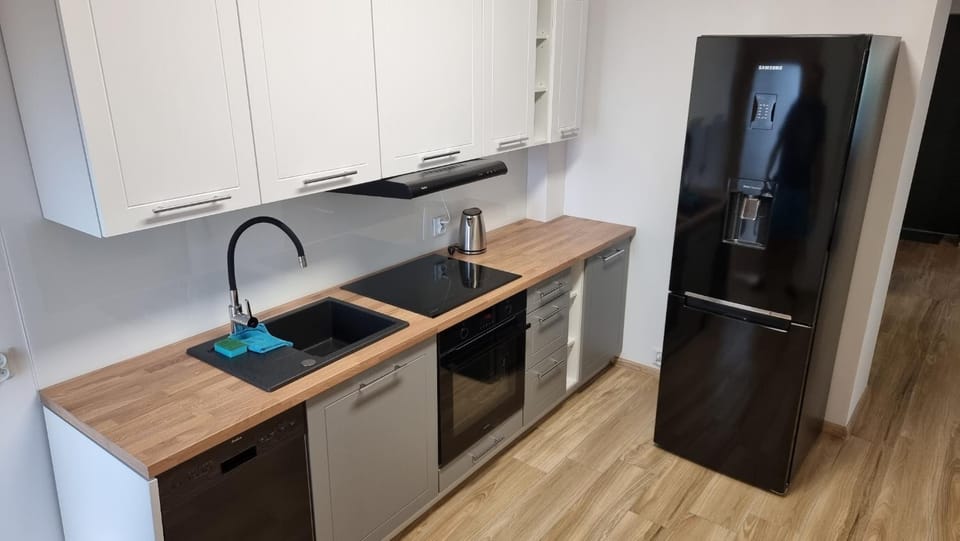 Kitchen or kitchenette, dishwasher, minibar, pet friendly