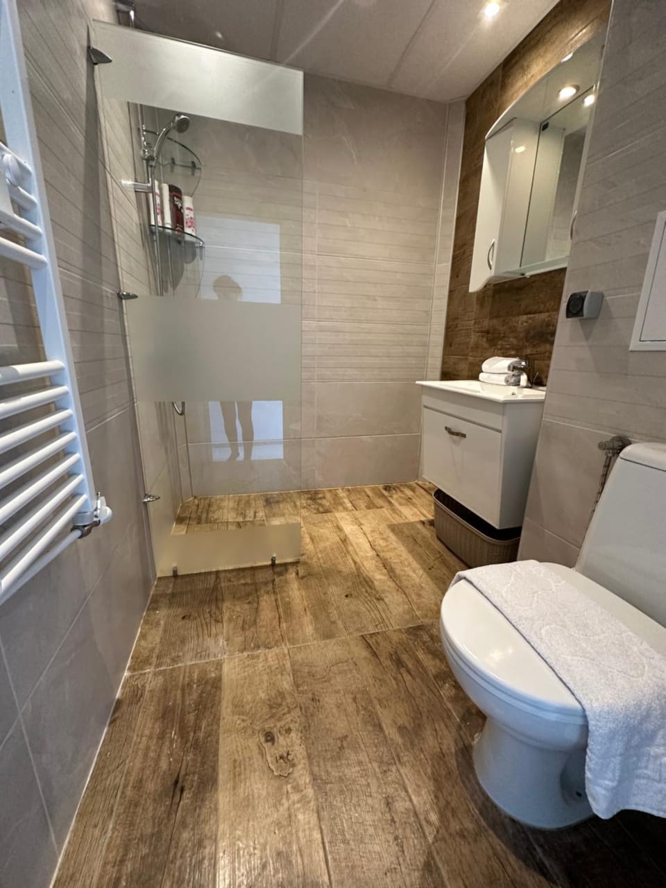 Shower, Toilet, Bathroom, towels