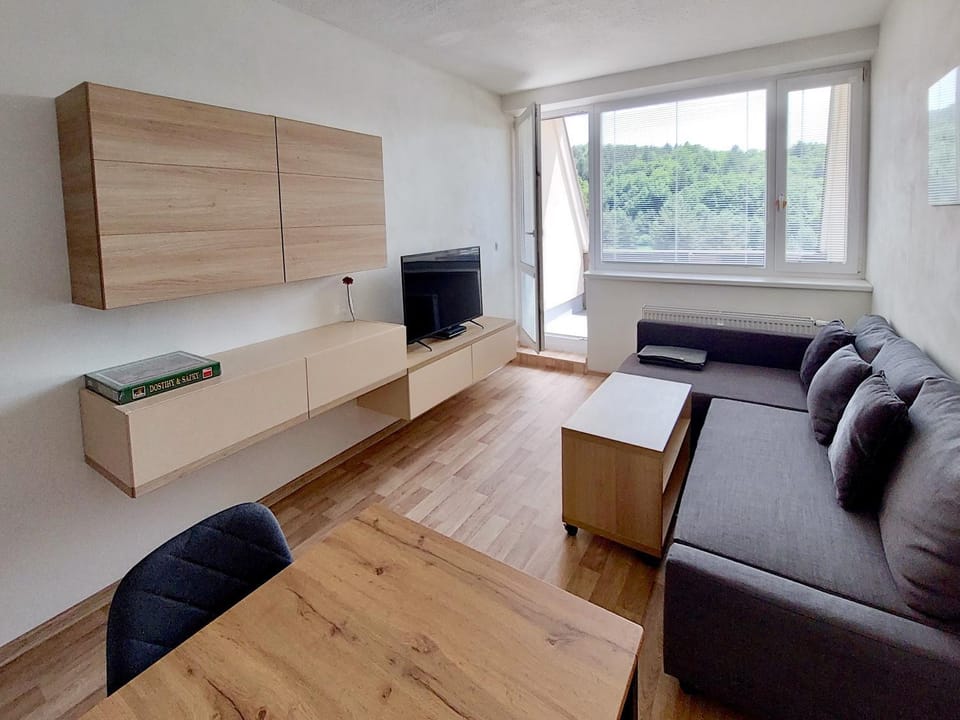 Apartmán Všemina 300 Apartment in Slovakia